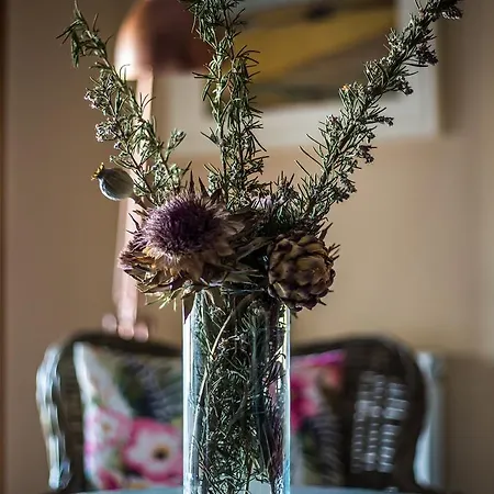 La Aldea Colorada Landsted