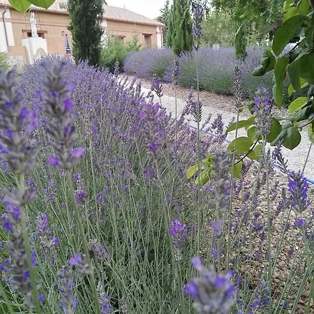 La Aldea Colorada Country house *
