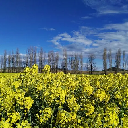 La Aldea Colorada Mota del Marqués