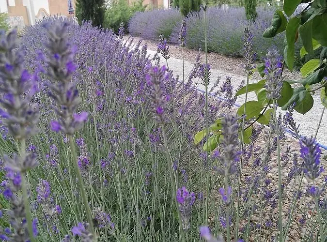 La Aldea Colorada 컨트리하우스 *