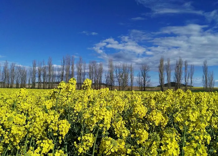 La Aldea Colorada Mota del Marqués