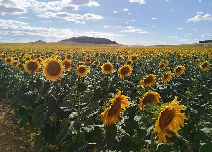 컨트리하우스 La Aldea Colorada Mota del Marqués
